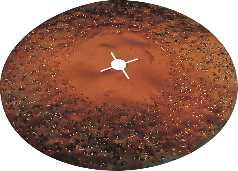 24 Grit Carbide Disk