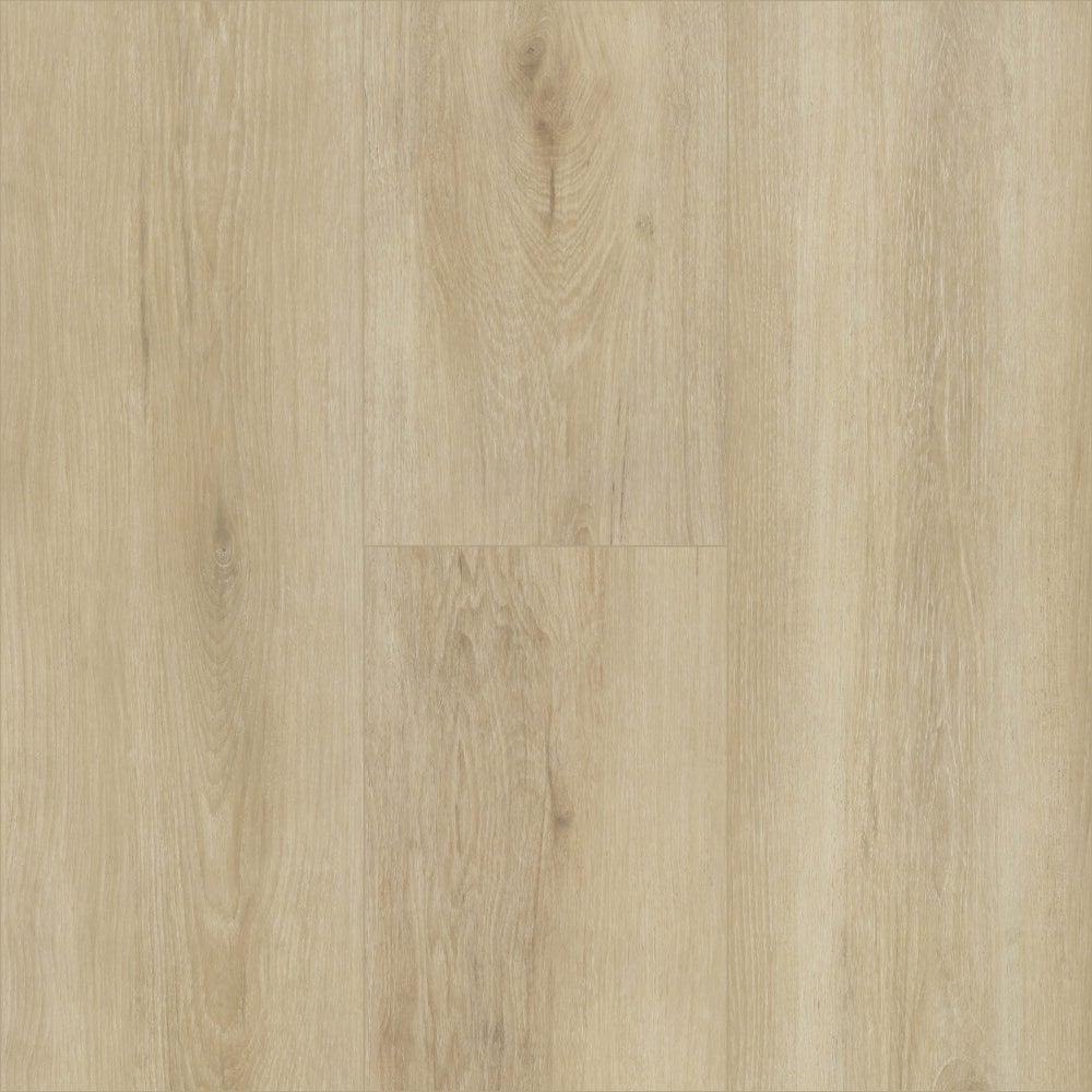 Sandbar Oak