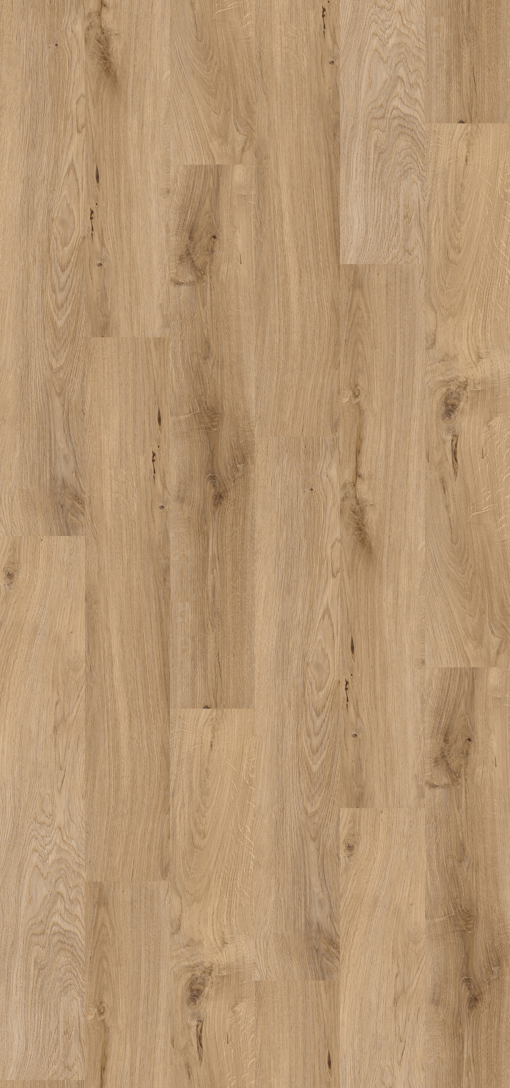 Appalachian Oak