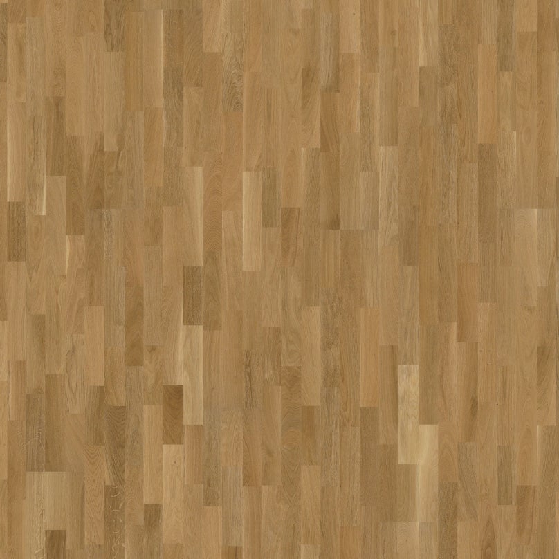 Lecco Oak
