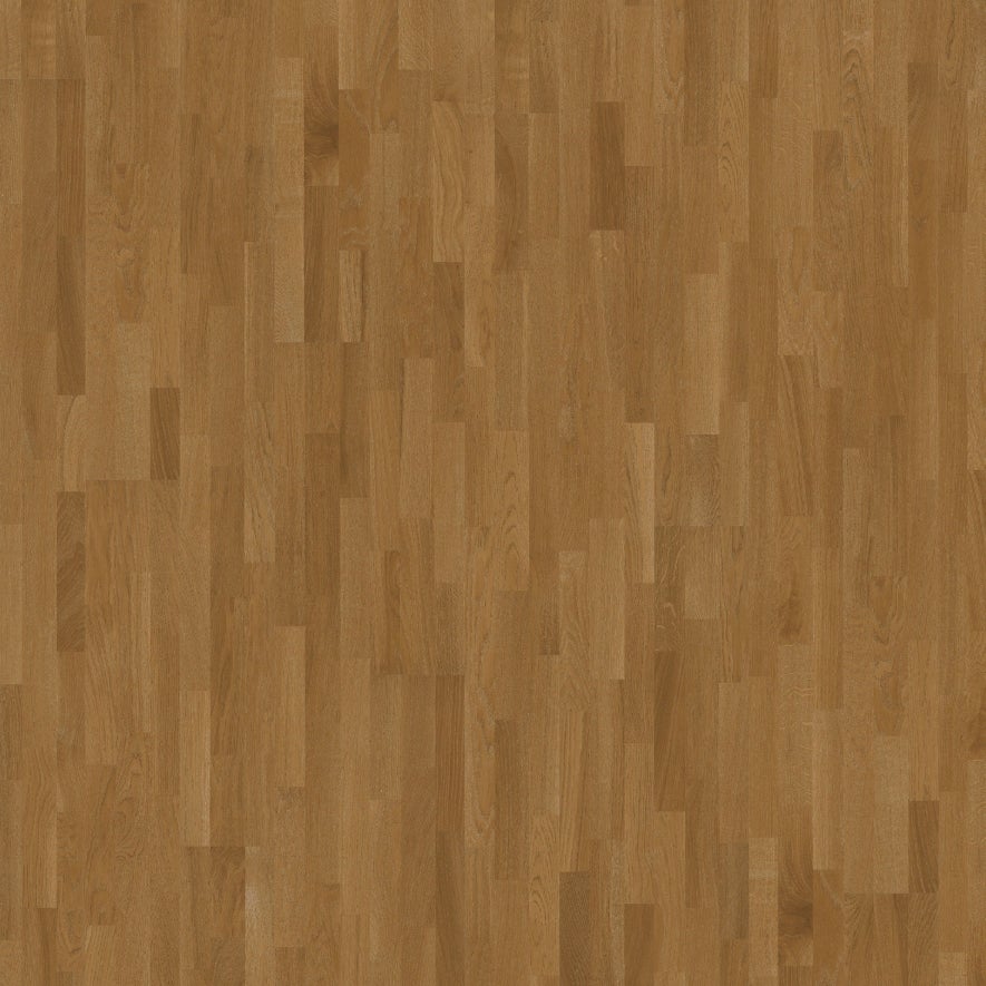 Oak Pima