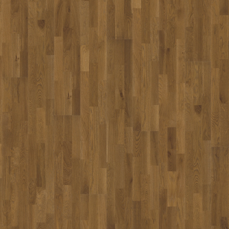 Oak Bisbee